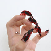 Infernal Talon